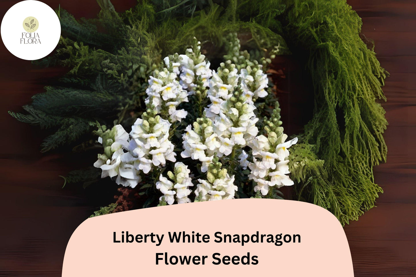 Antirrhinum majus Liberty White Snapdragon Seeds – 1000+ Pure White Blooms for Garden & Cut Flowers