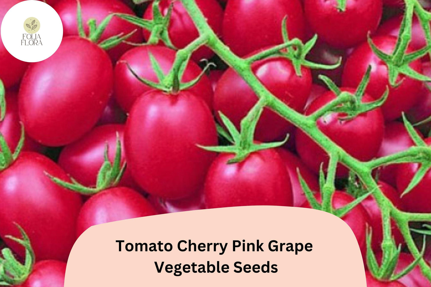 200 Tomato Cherry Pink Grape Seeds | Sweet Grape Tomatoes for Gardens & Pots | Heirloom Variety | Non-GMO | Easy to Grow