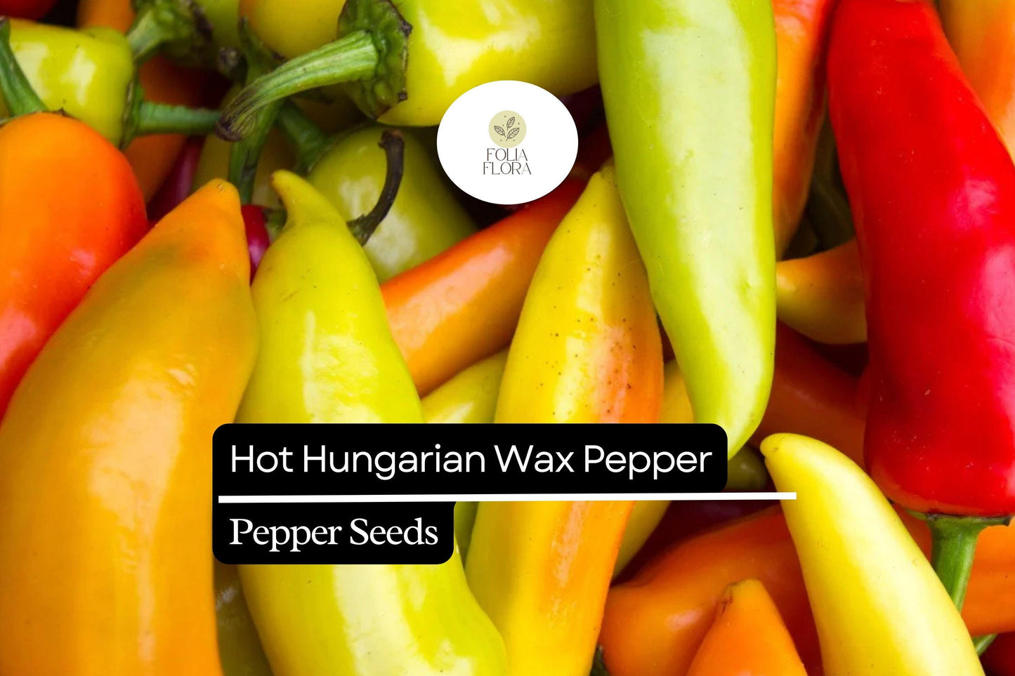 25 Hot Hungarian Wax Pepper Seeds – Capsicum annuum – Heirloom, Spicy & Tangy, High-Yielding