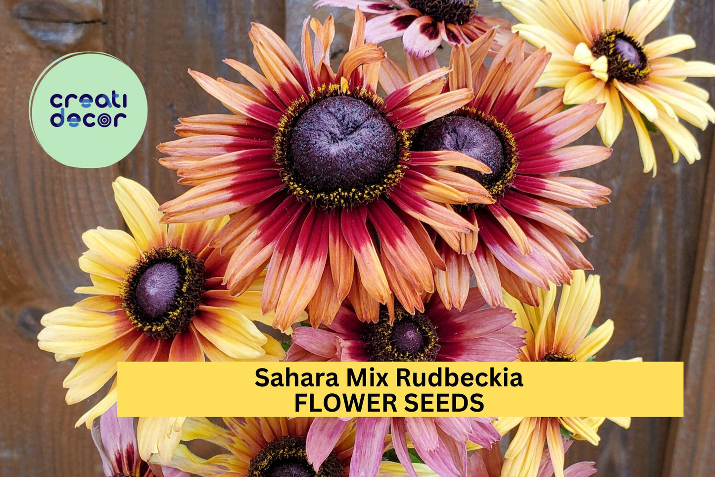 200+ Sahara Mix Rudbeckia Seeds – Warm Rustic Blooms for Garden Planting, Drought-Tolerant Flowers for Beds & Pollinators – USA