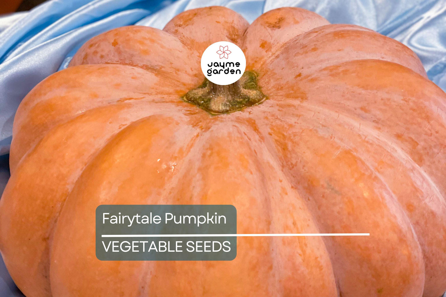 15 Fairytale Pumpkin Seeds - Heirloom Non-GMO | Sweet & Rich Flavor | Deep Ribbing | 15 lb Pumpkins | USA Seller | Free Shipping