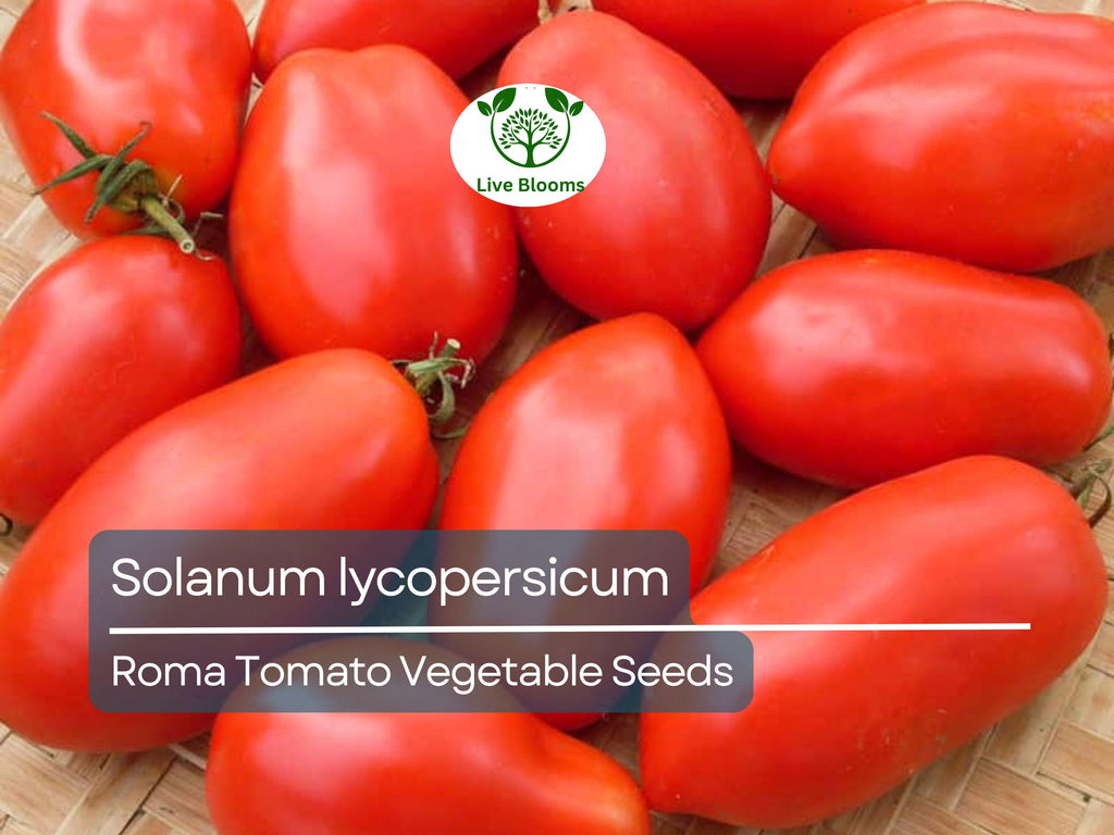 100 mg Roma Tomato Seeds - Solanum lycopersicum | Heirloom Paste Tomato for Planting, Gardening and Cooking | Ideal for Sauces & Canning