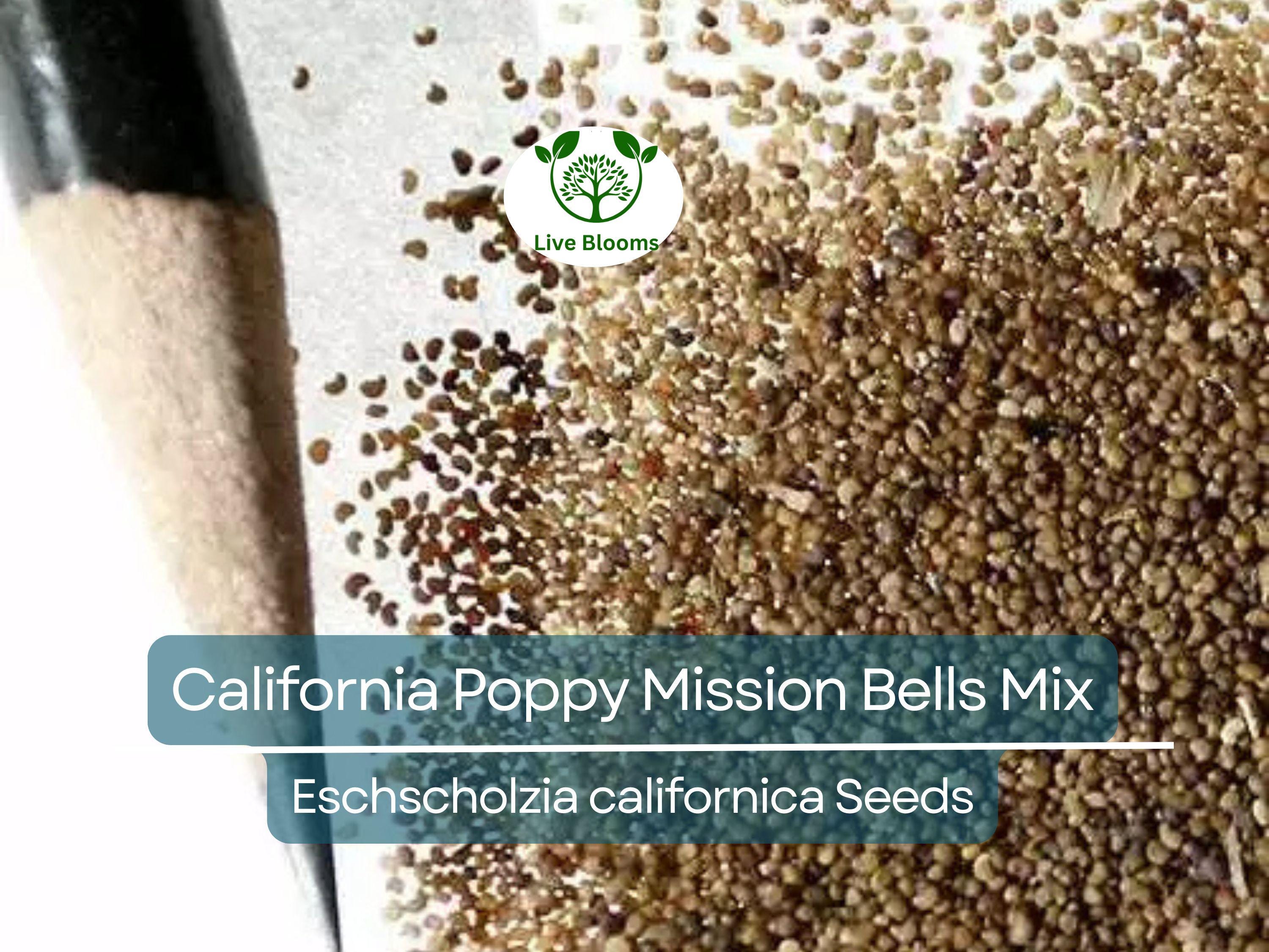 1000 Seeds California Poppy ‘Mission Bells Mix’ – Eschscholzia californica – Non-GMO Wildflower Blend – Brilliant Meadow Colors
