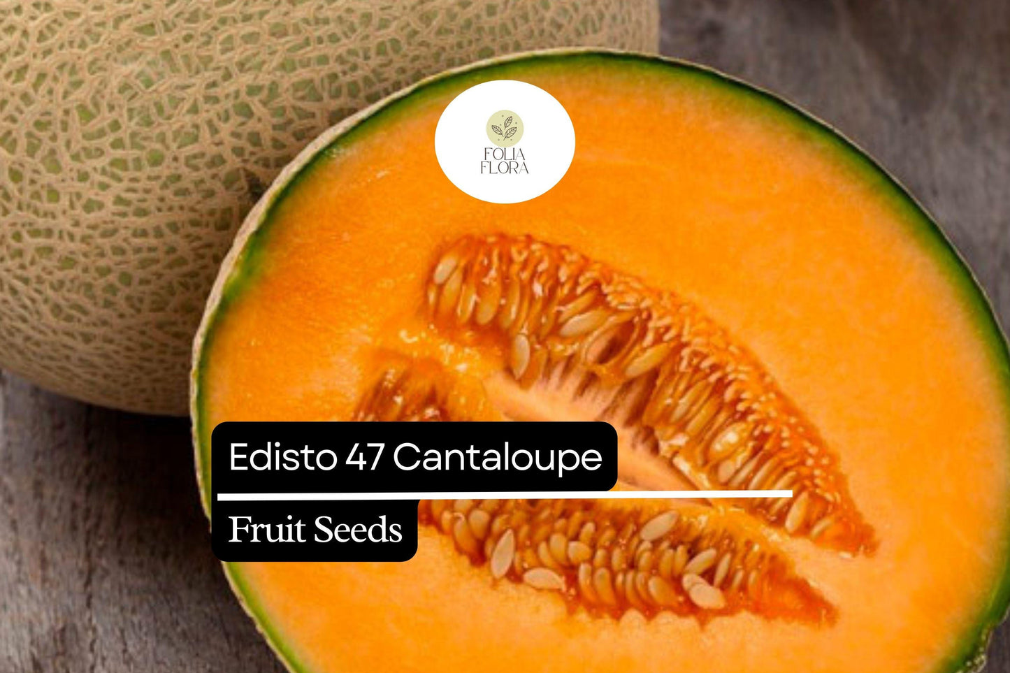 20 Seeds Edisto 47 Cantaloupe (Cucumis melo) – Sweet, Heat-Tolerant Heirloom Melon Variety