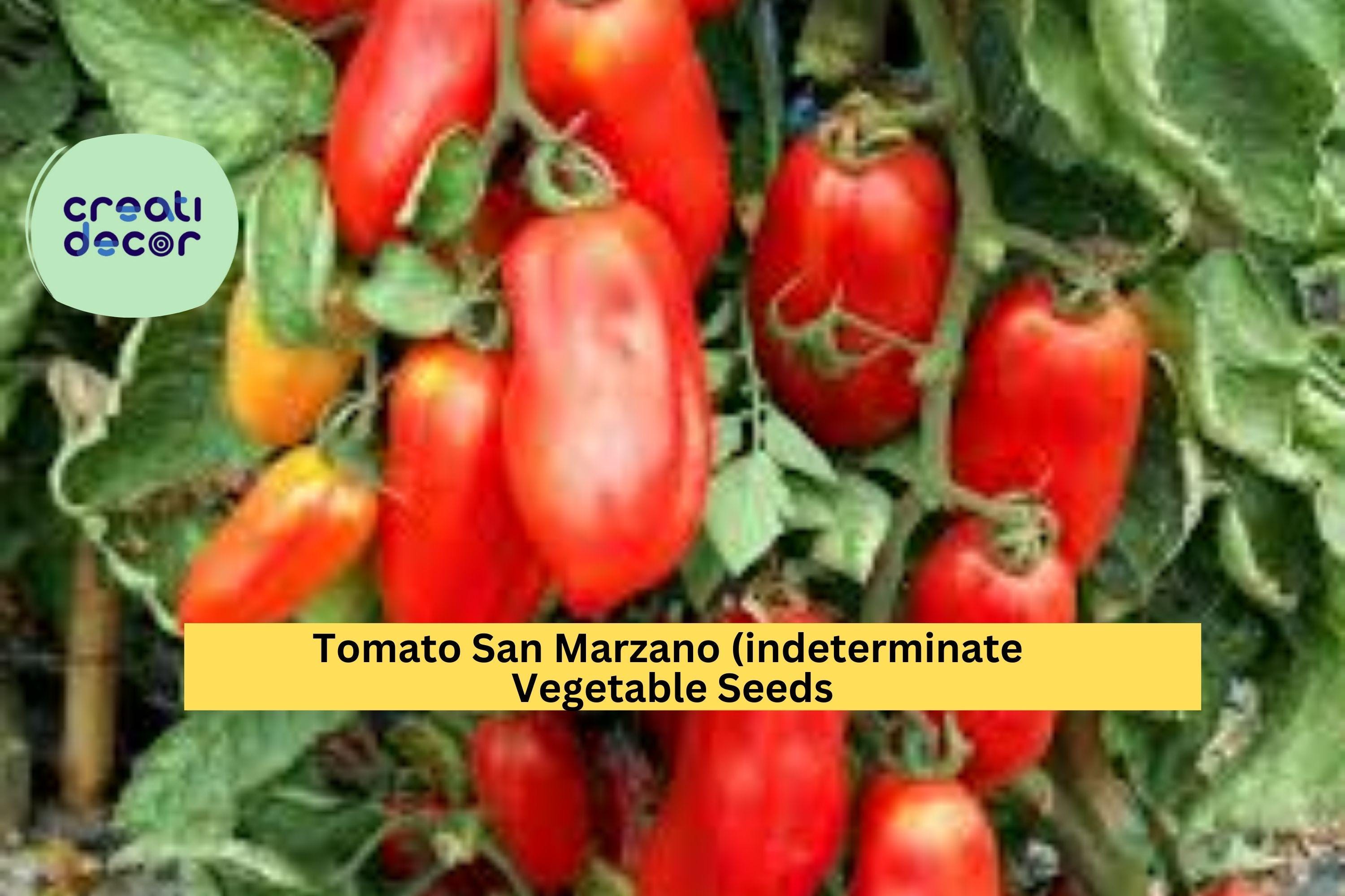 3pcs of 100mg San Marzano Tomato Seeds – Classic Italian Sauce Tomatoes for Home Garden, Indeterminate Variety Seeds for Planting