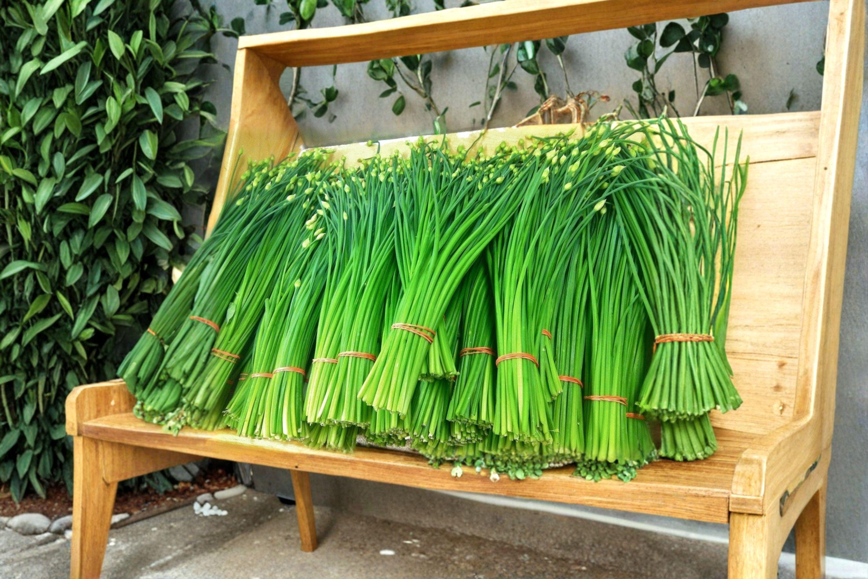 Flowering Chinese Leek 100 Seeds | Garlic Chive Type | Edible Flowers | Asian Culinary & Pollinator Plant