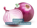 70 Seeds Onion Red Burgundy Short Day for Planting (Allium cepa) - Sweet, Mild Red Onions for Home Gardens, Ideal for Early Spring Planting
