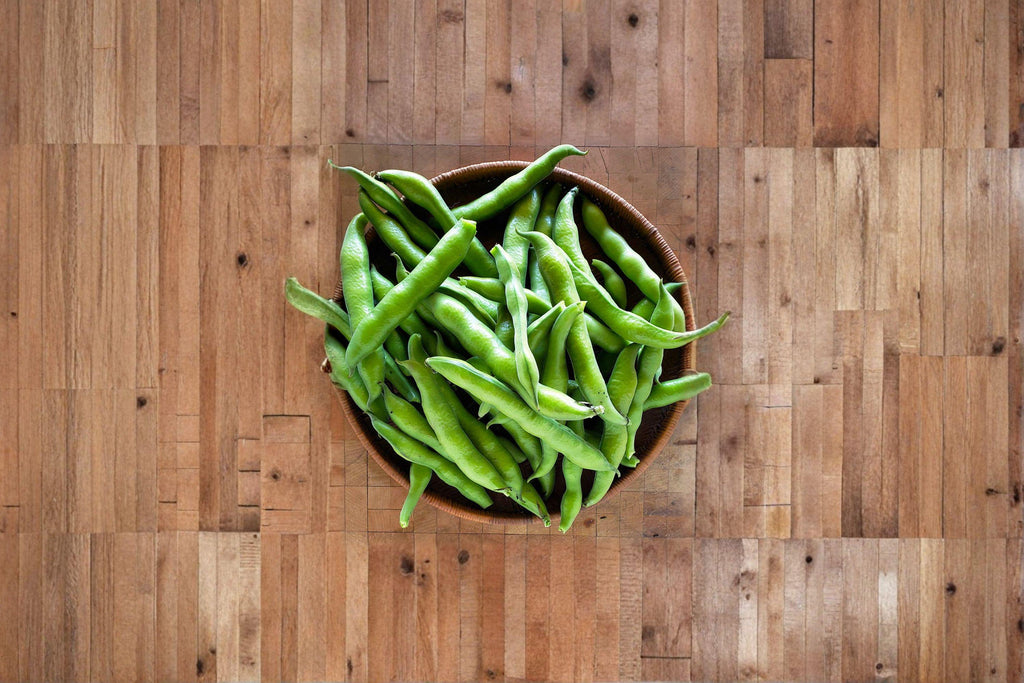 Fava Bean 10 Seeds | Cool-Season Vegetable | High Protein | Easy to Grow Heirloom