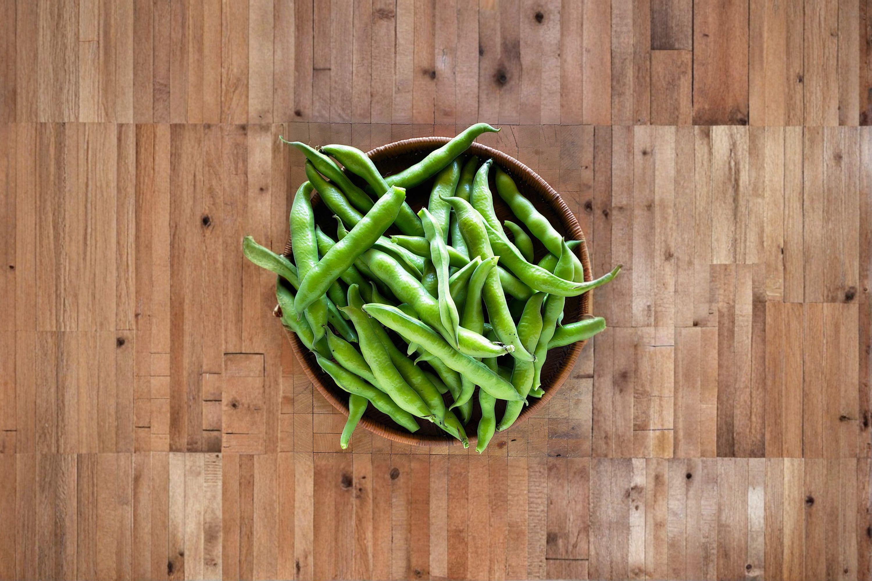 Fava Bean 10 Seeds | Cool-Season Vegetable | High Protein | Easy to Grow Heirloom