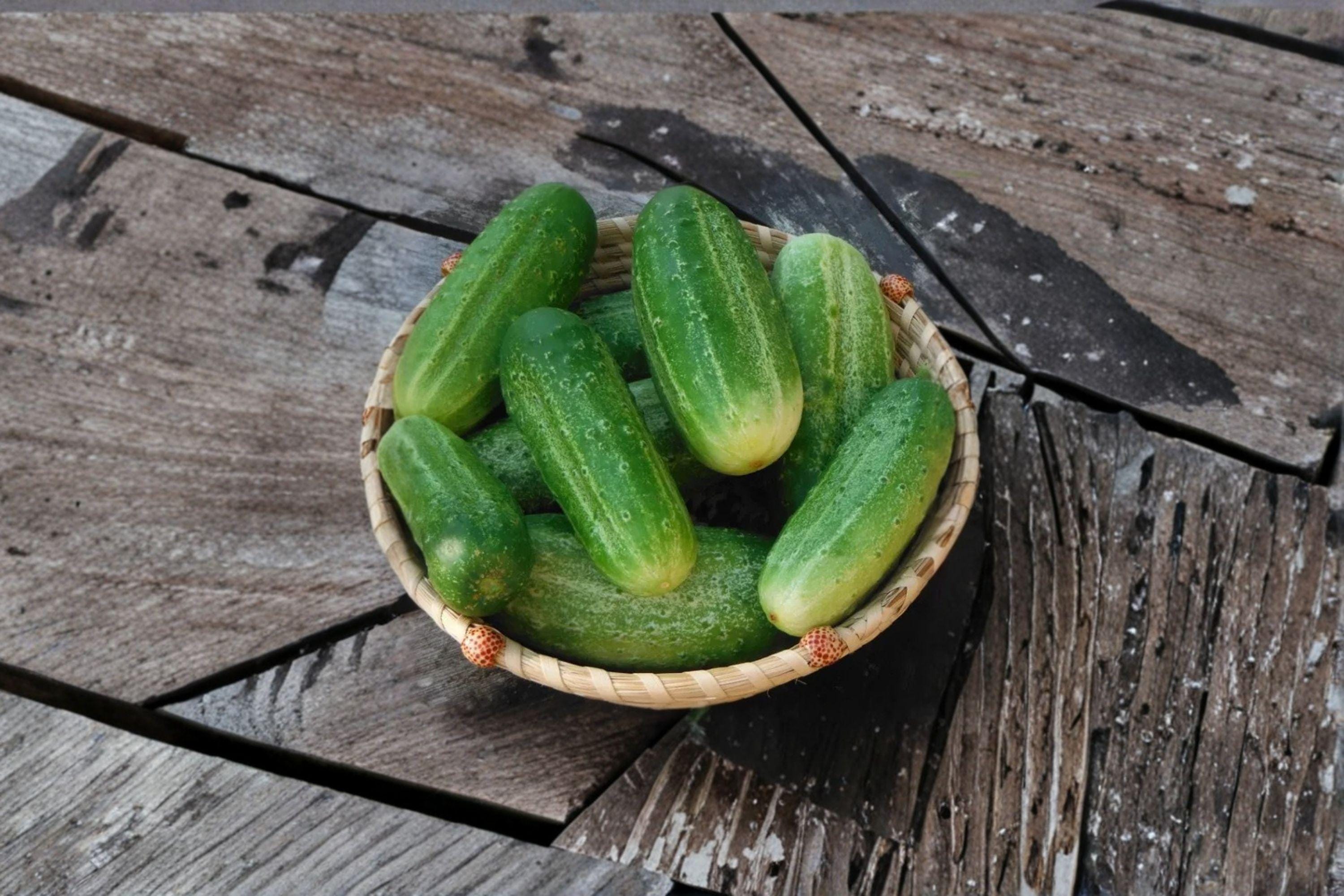 Cucumber – National Pickling 35 Seeds | Classic Pickling Cucumber | Heavy Producer | Crisp & Flavorful