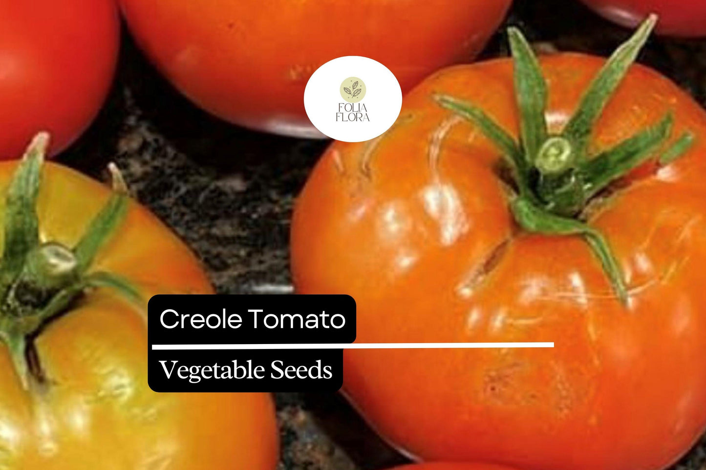 15 Seeds Creole Tomato (Solanum lycopersicum) – Sweet, Juicy, Flavorful Heirloom Variety