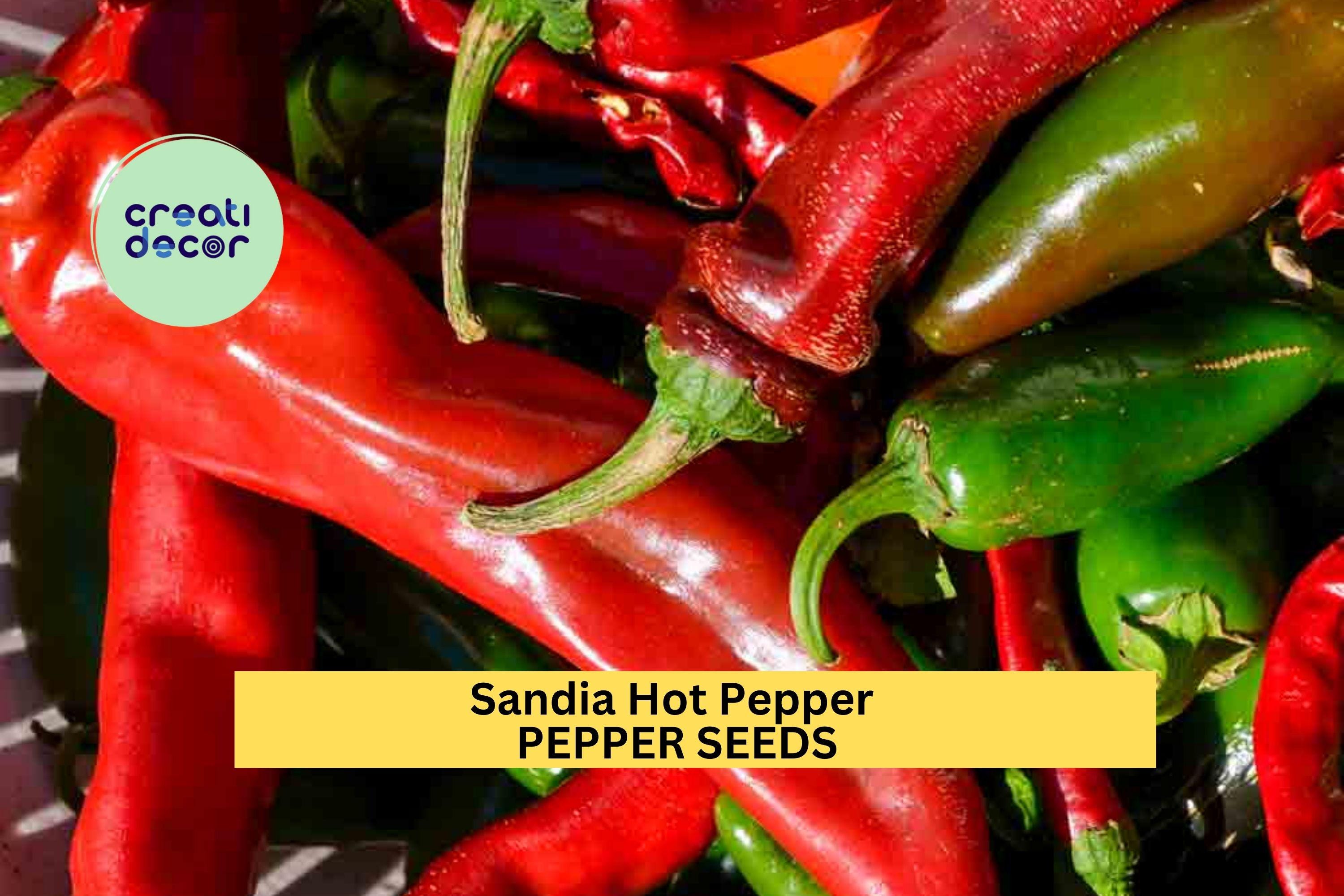 3pcs of 250mg Sandia Hot Pepper Seeds–Mild to Medium Heat Chili Roasting, Salsa,and New Mexico Style Home Garden Planting Seeds for Planting