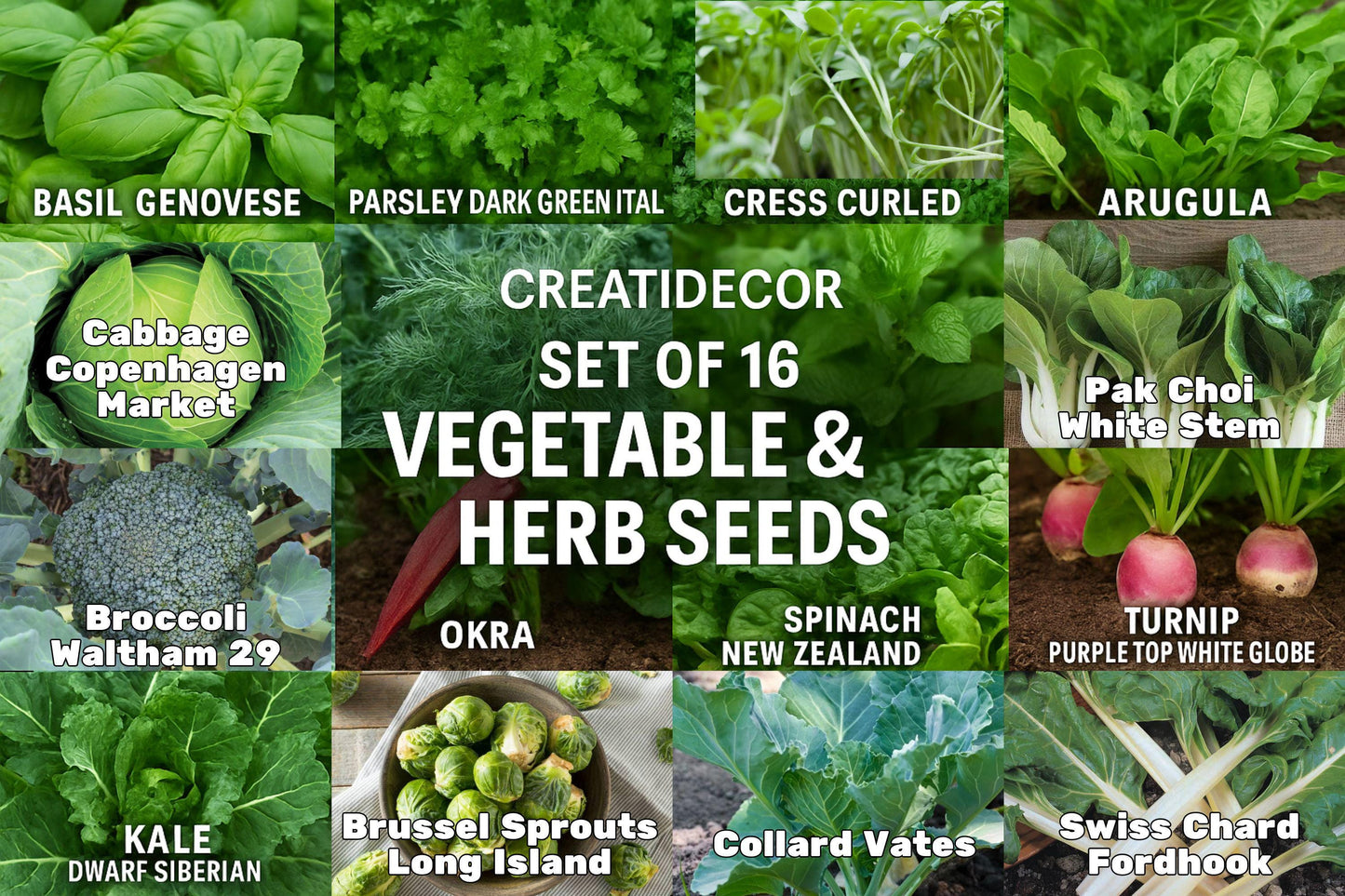 Set of 16 Vegetable & Herb Seeds – Garden Starter Pack with Basil, Arugula, Kale, Broccoli, Cilantro, Okra, Spinach and More – USA