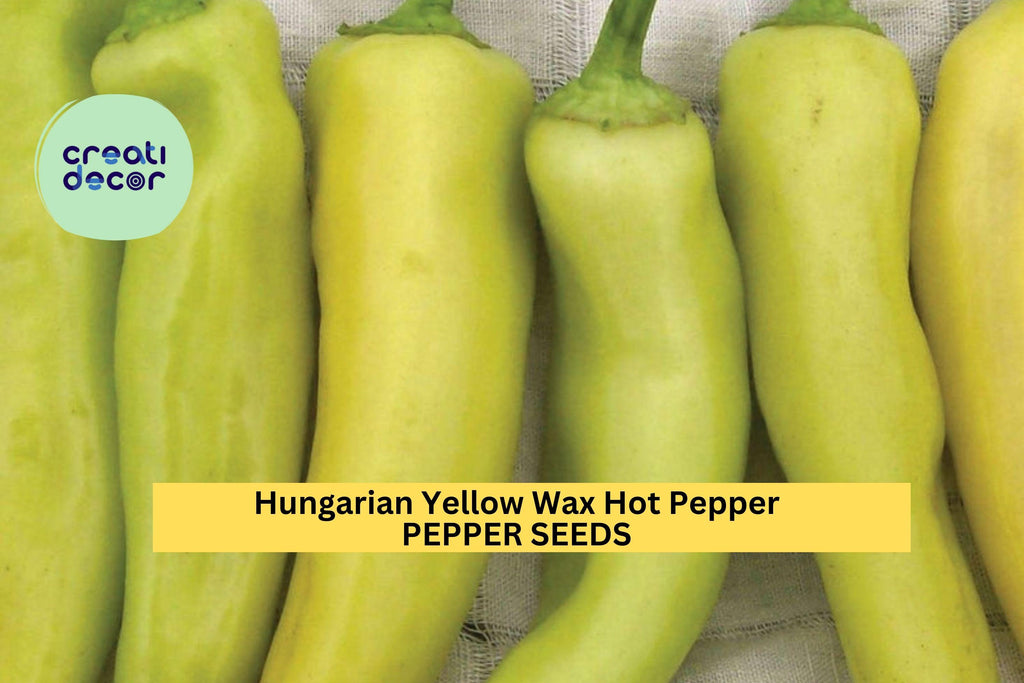 3pcs of 300mg Hungarian Yellow Wax Hot Pepper Seeds – Spicy Banana-Shaped Peppers for Pickling, Frying & Garden Growing Seeds for Planting