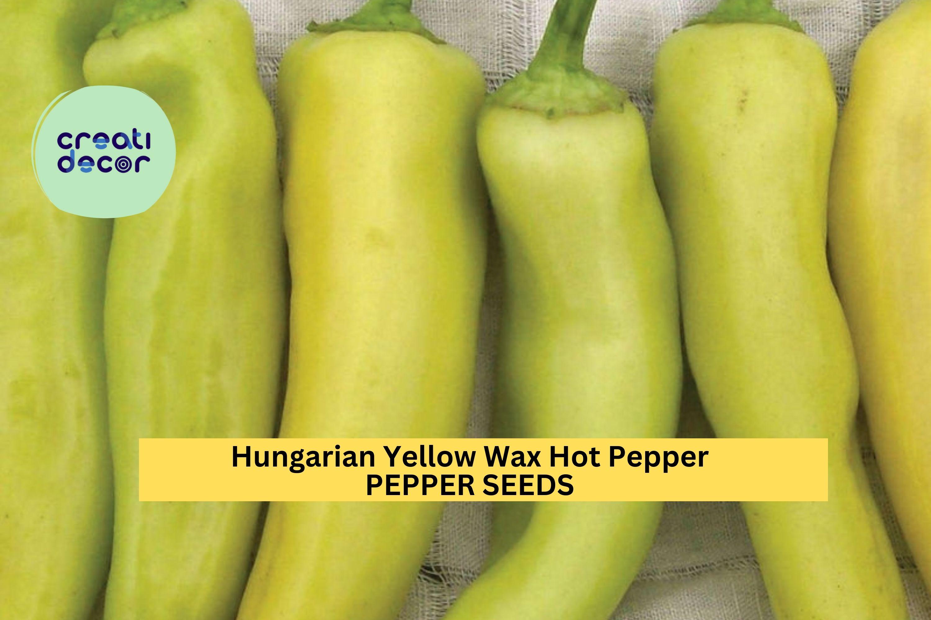 3pcs of 300mg Hungarian Yellow Wax Hot Pepper Seeds – Spicy Banana-Shaped Peppers for Pickling, Frying & Garden Growing Seeds for Planting