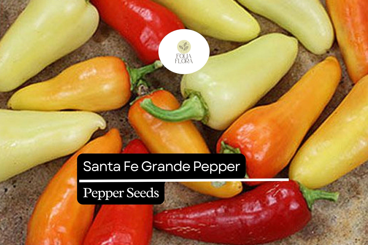 25 Santa Fe Grande Pepper Seeds – Capsicum annuum – Heirloom, Mildly Spicy, High-Yielding, Great for Salsas & Pickling, Non-GMO
