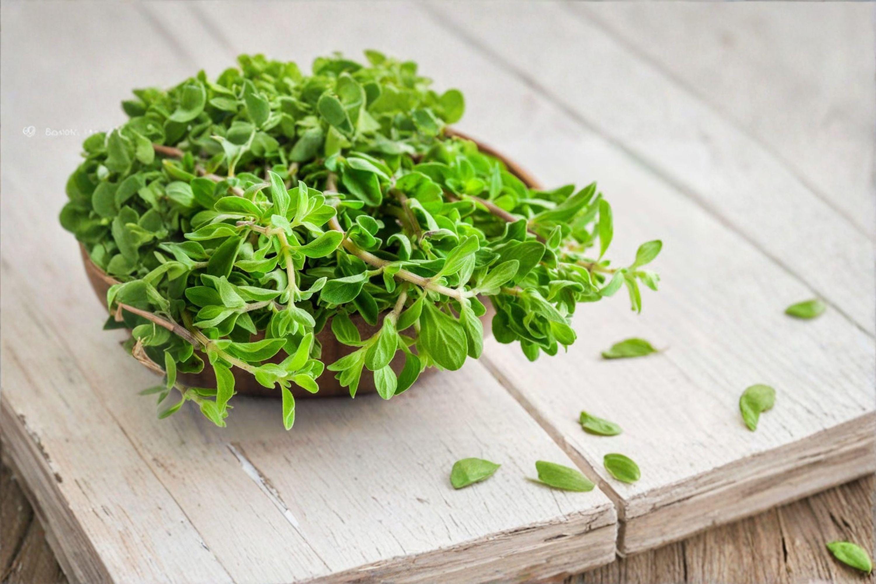 Marjoram 400 Seeds | Aromatic Culinary Herb | Mild Sweet Flavor | Easy to Grow
