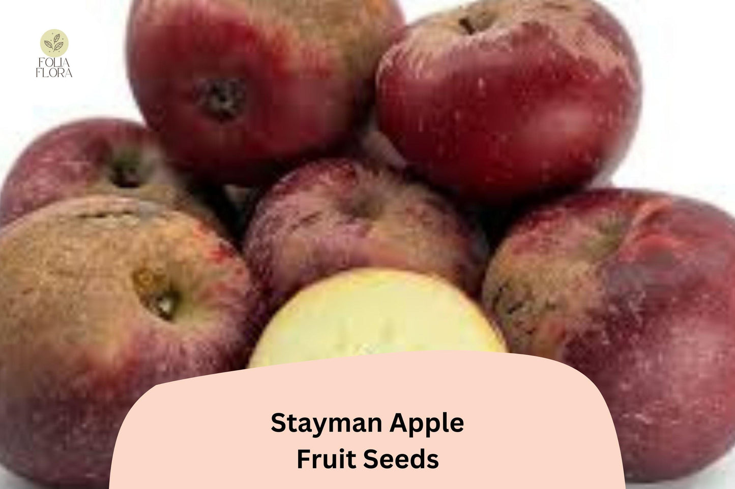 25+ Stayman Apple Seeds | Malus domestica | Heirloom Tart-Sweet Apple Variety | Fruit Tree Seeds for Orchard & Garden