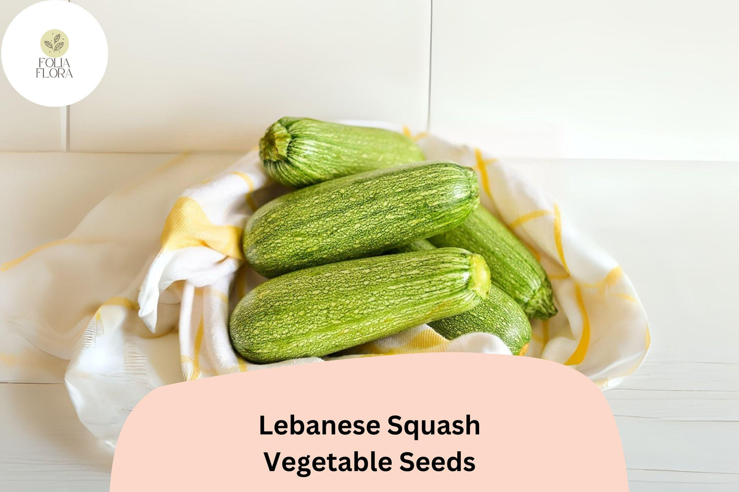 25+ Lebanese Squash Seeds for Planting | Cousa Summer Squash | Heirloom Middle Eastern Vegetable Garden Seeds