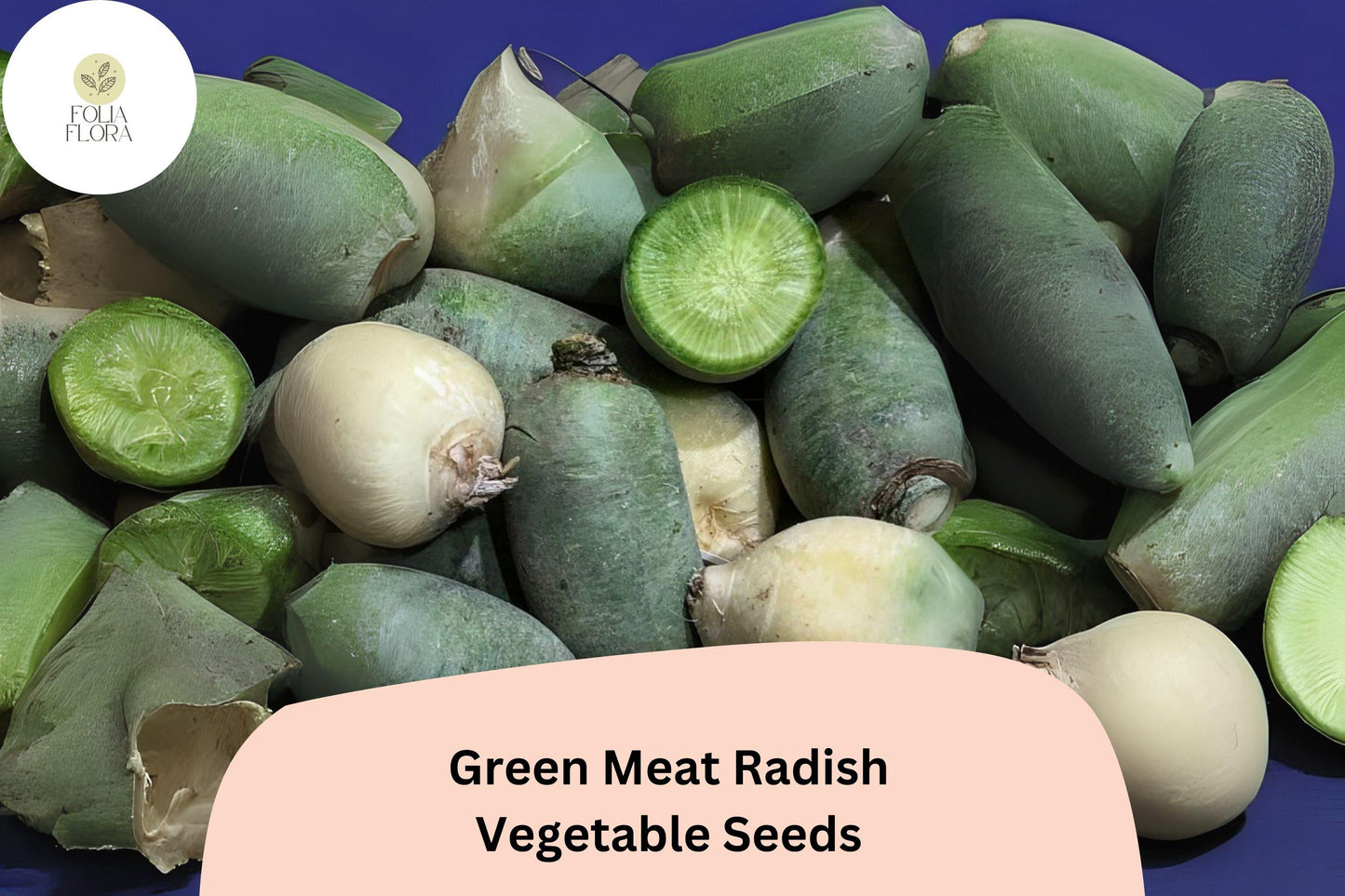 500+ Green Meat Radish Seeds – Heirloom Daikon Variety, Crisp & Mild Flavor