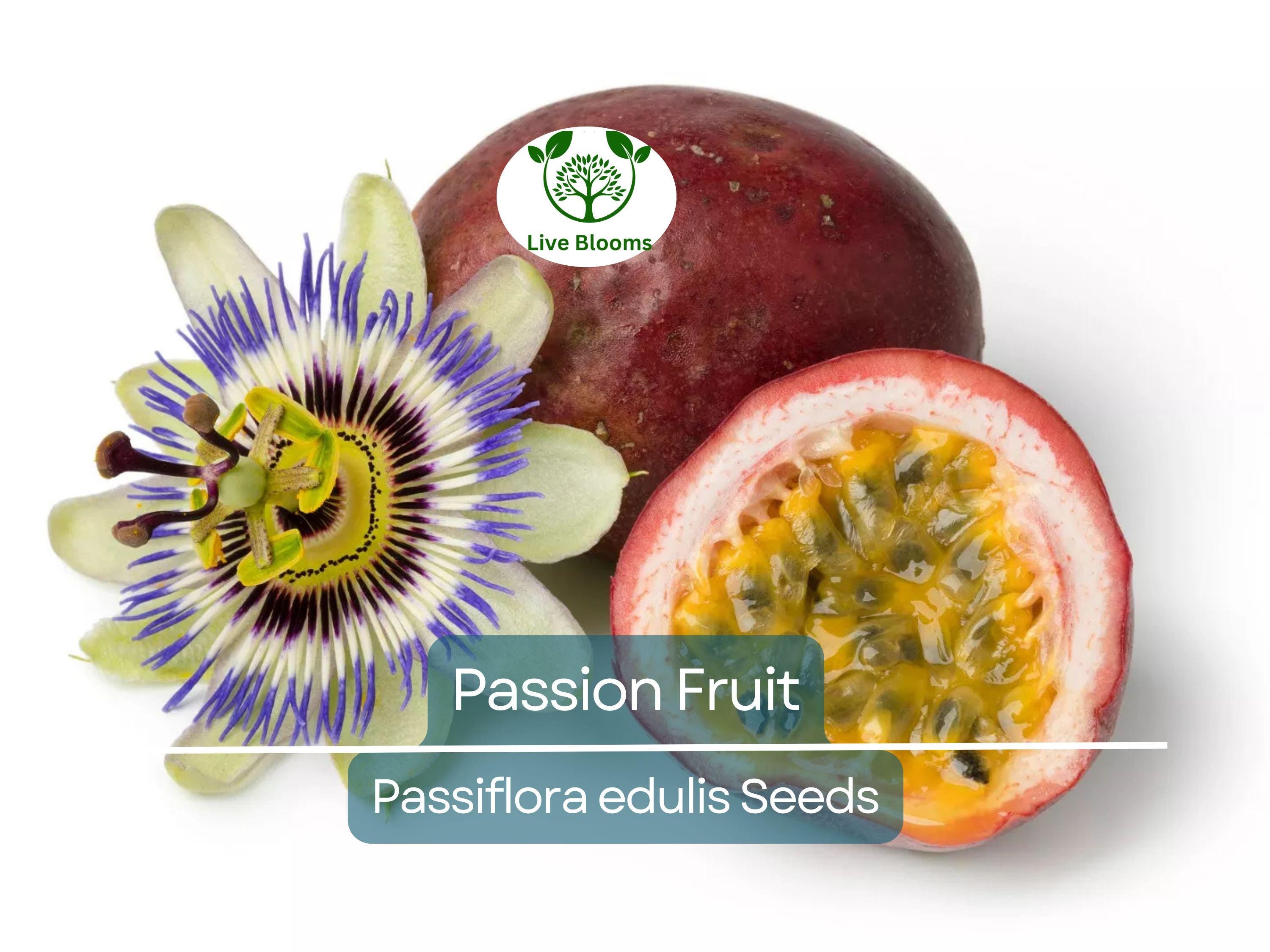 10 Purple Edulis Passion Fruit Seeds | Edible Passionfruit Vine, Fast Growing, Delicious Fruit, Tropical & Hardy