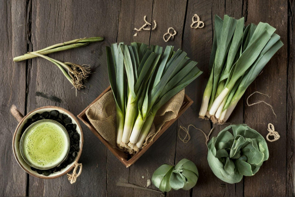 Leek – American Flag 150 Seeds | Classic Heirloom Leek | Long White Shafts | Cold-Hardy & Flavorful