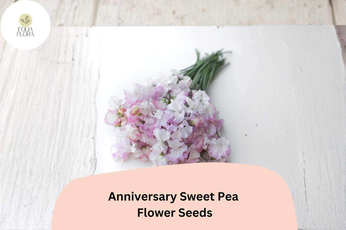 Anniversary Sweet Pea Seeds – Pink Climbing Flower, 50+ Garden Planting Seeds