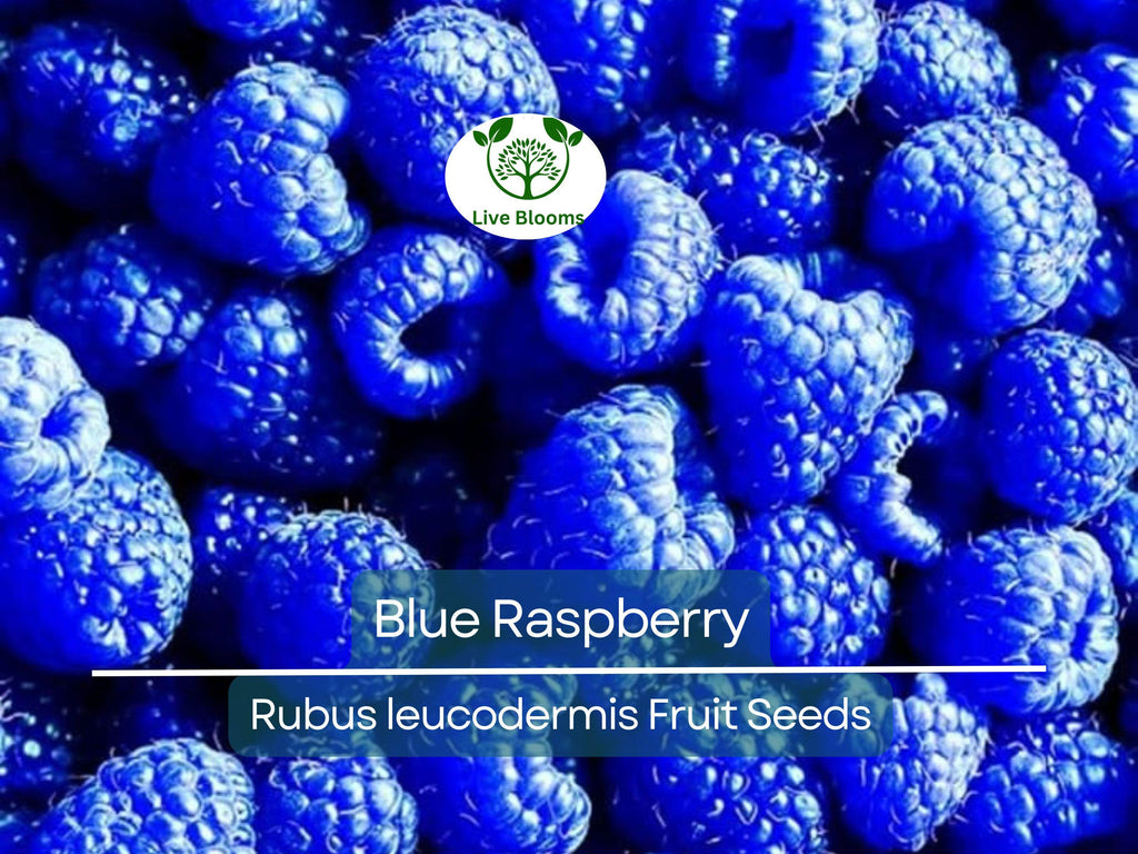 50 Blue Raspberry Bush Seeds for Sweet, Edible Berry Fruits, Delicious Blue Berries, High Yield, Easy to Grow, Organic, Perfect for Garden