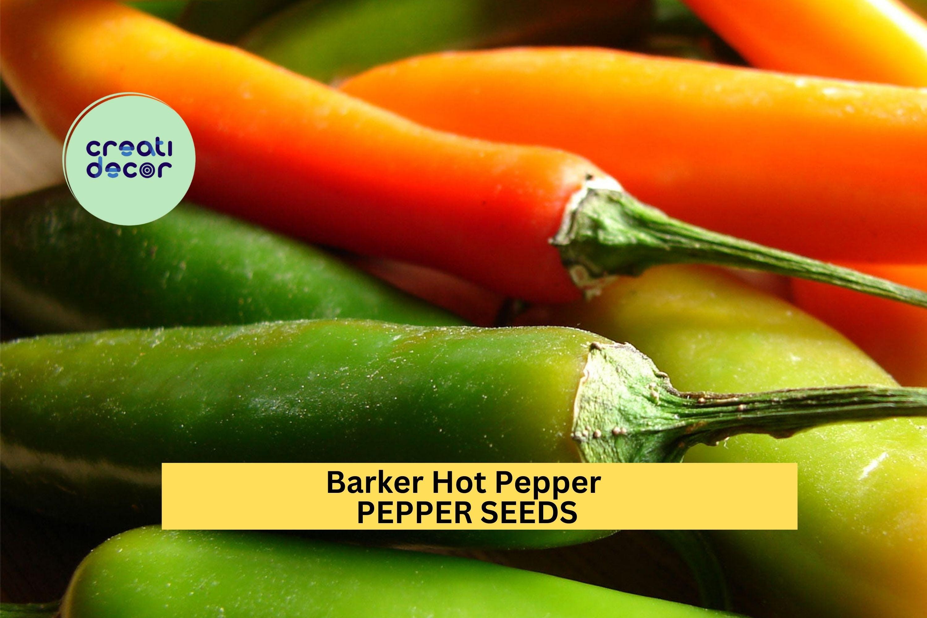 3pcs of 250mg Barker Hot Pepper Seeds – Fiery New Mexico Chile for Salsas, Drying, Roasting, and Spicy Garden Harvests Seeds for Planting