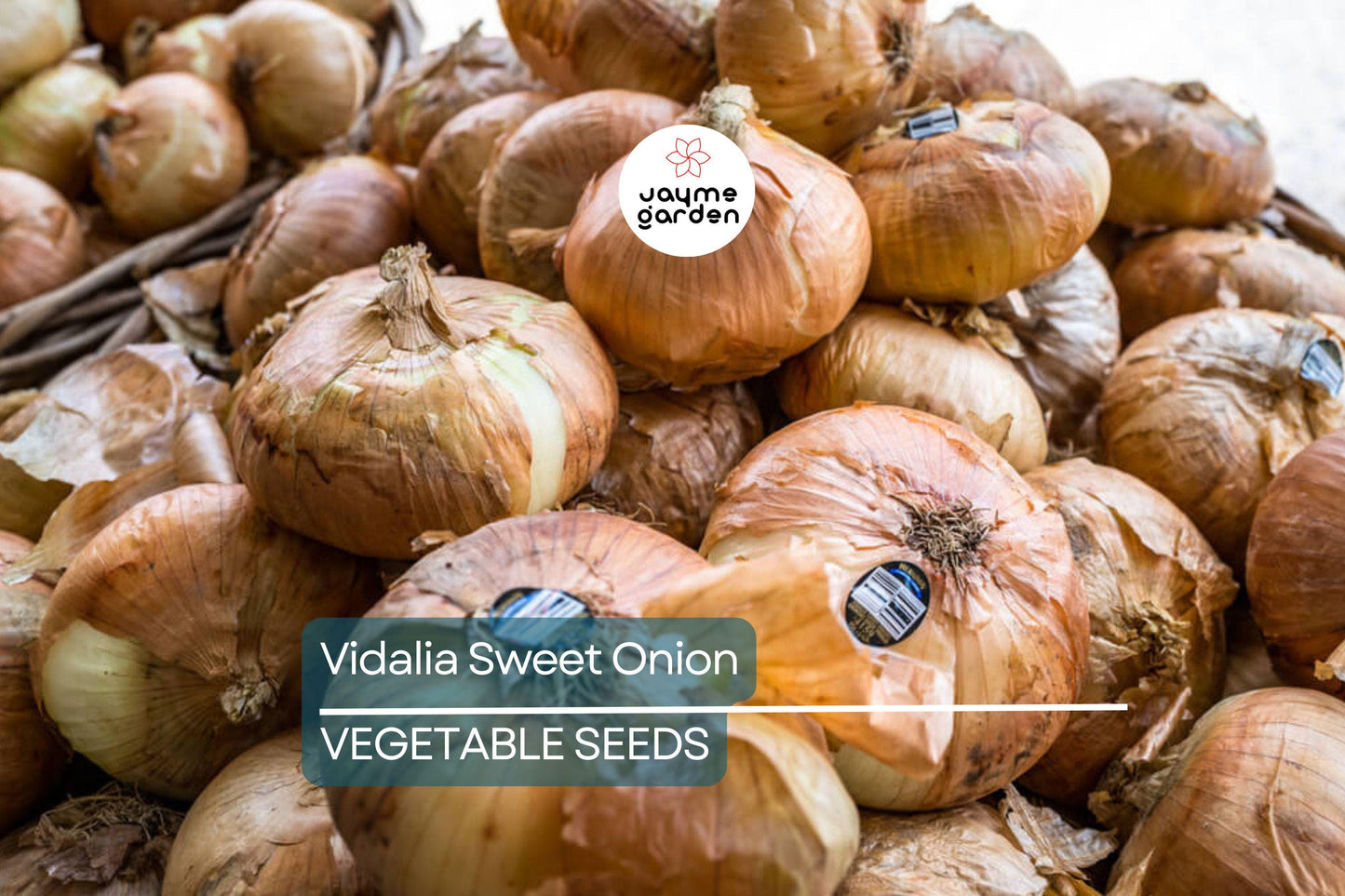 500 Treated Vidalia Sweet Onion Seeds | Non-GMO Heirloom | Early Grano Short-Day Variety