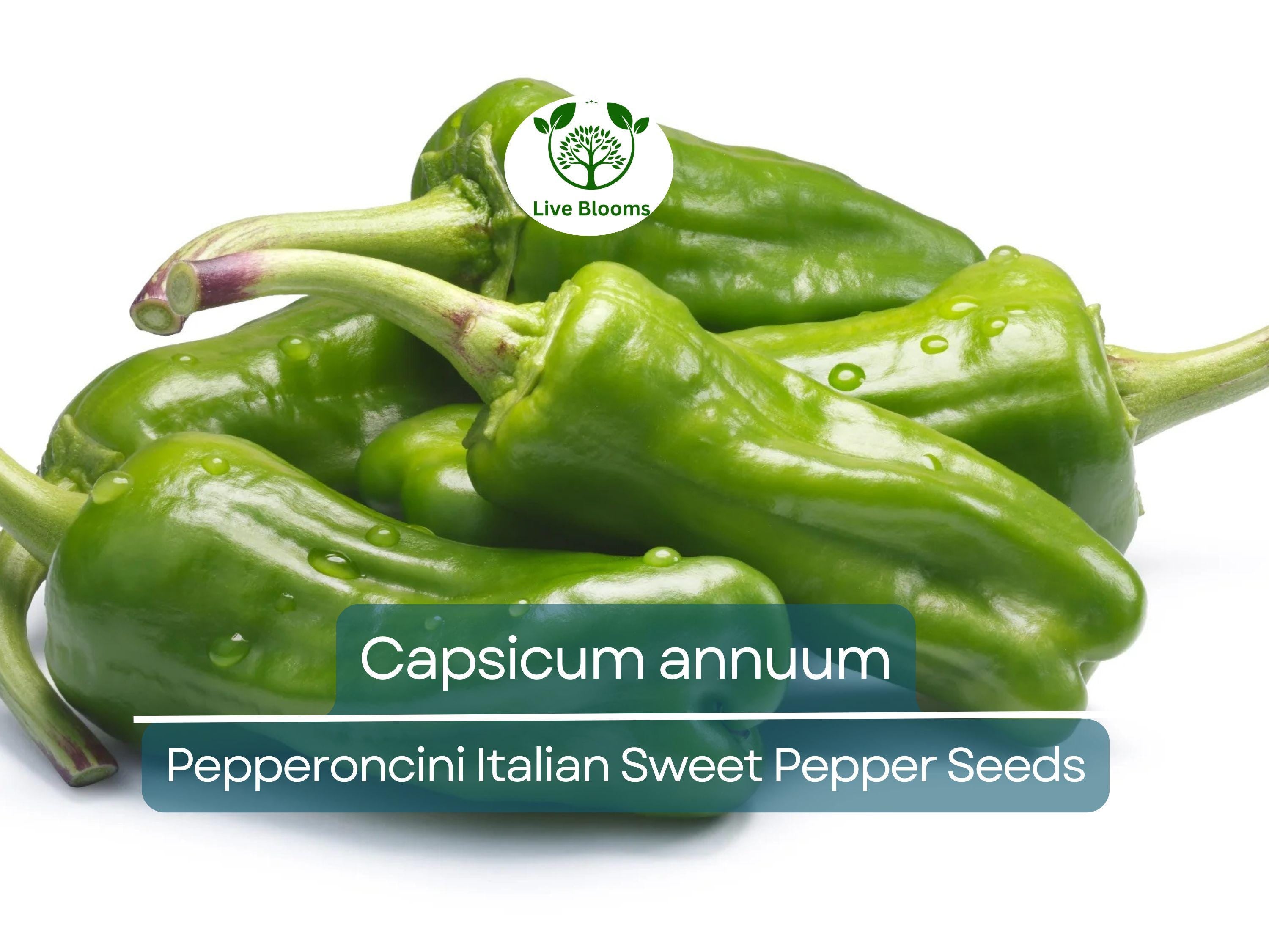 250 mg Pepperoncini Italian Sweet Pepper Seeds - Capsicum annuum | Heirloom Mild Pepper for Planting, Pickling & Culinary Use