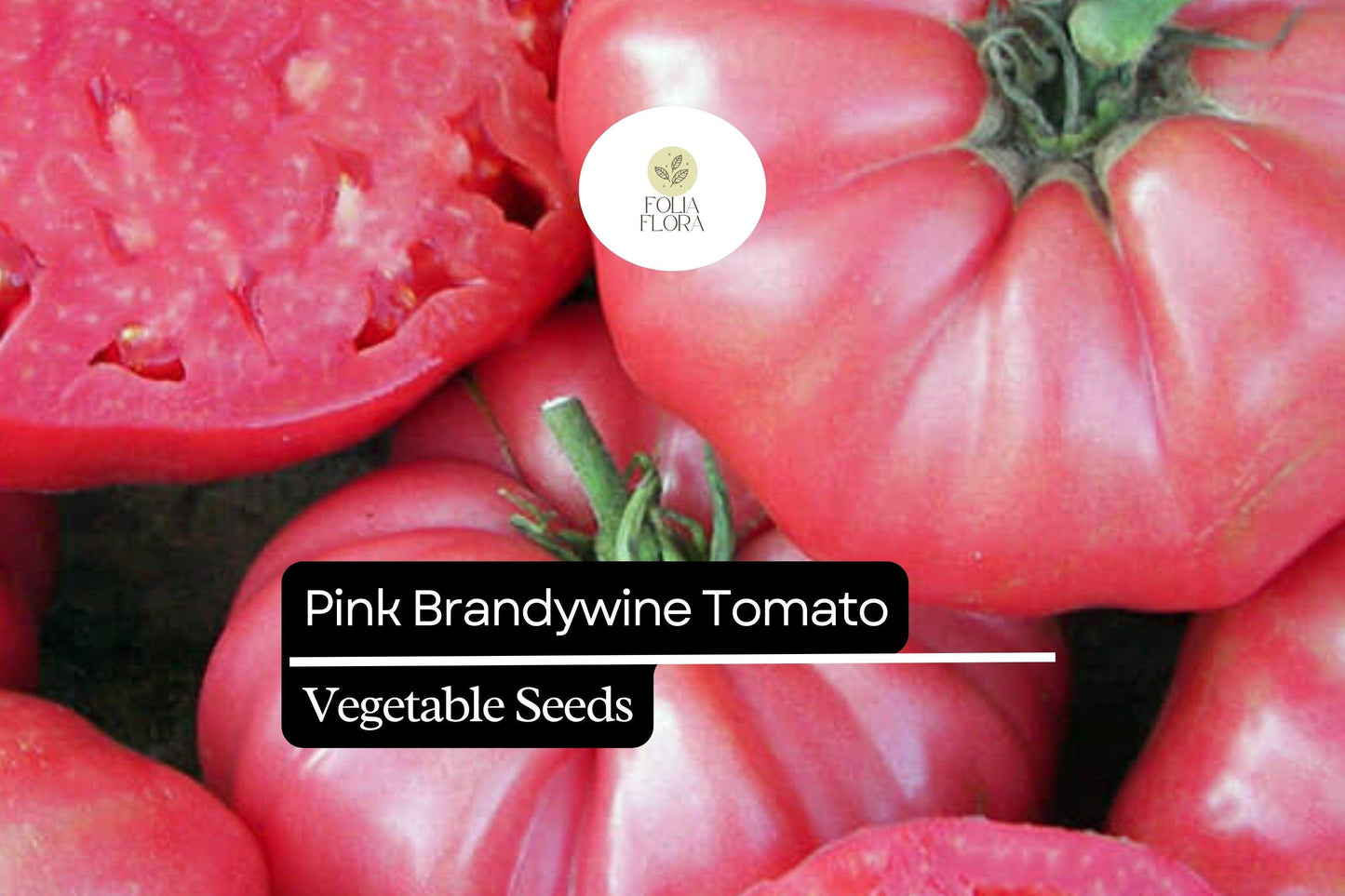 30 Seeds Pink Brandywine Tomato - Solanum lycopersicum | Heirloom, Juicy, and Flavorful Tomatoes