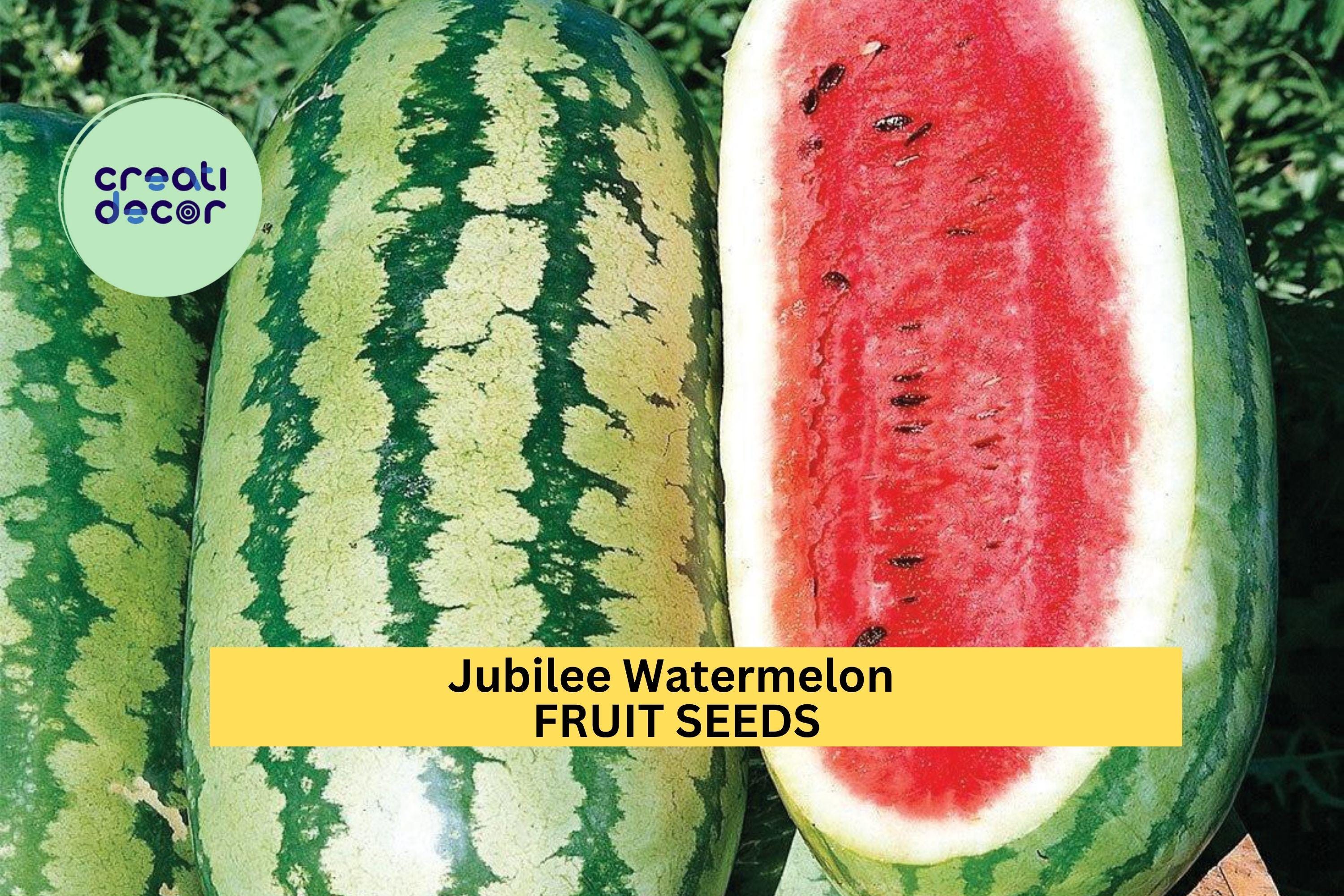 3pcs of 1g Jubilee Watermelon Seeds – Classic Sweet Red Flesh Melon, Long Fruits, Heat-Tolerant, Great for Summer Gardens Seeds for Planting