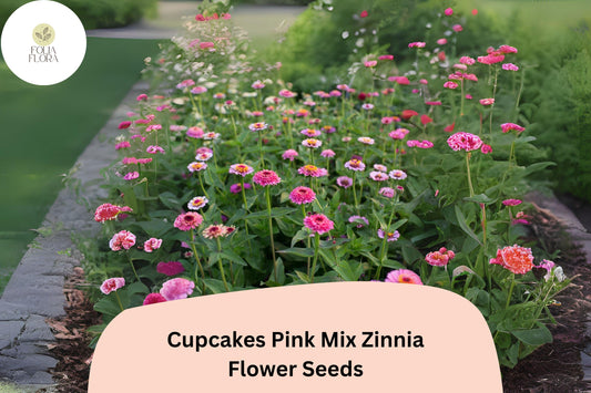 100+ Cupcakes Pink Mix Zinnia Seeds – Unique Ruffled Blooms in Shades of Pink for Summer Gardens
