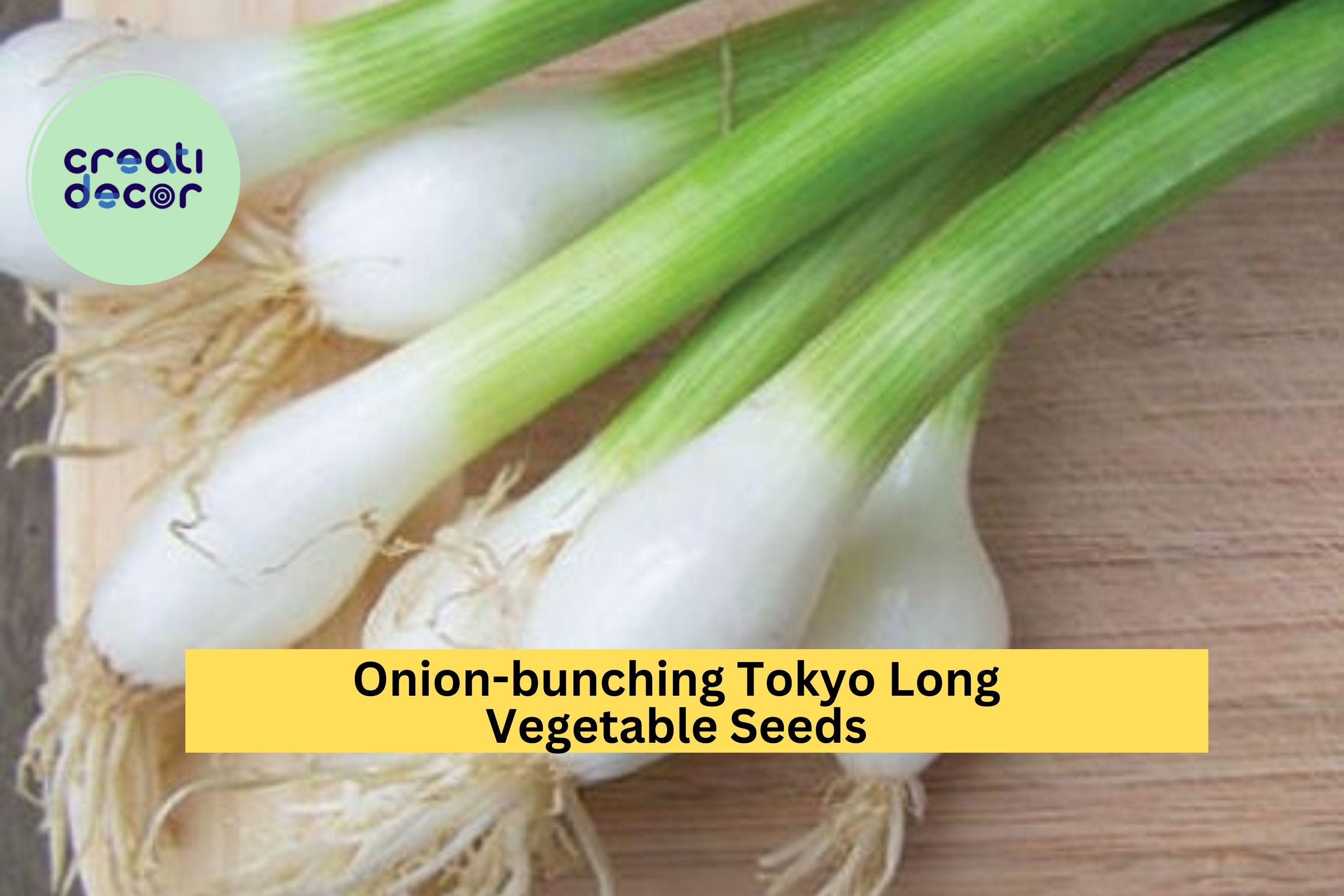 3pcs of 1g Tokyo Long Bunching Onion Seeds – Mild Scallion Variety for Stir-Fries, Soups & Container Gardening Seeds for Planting