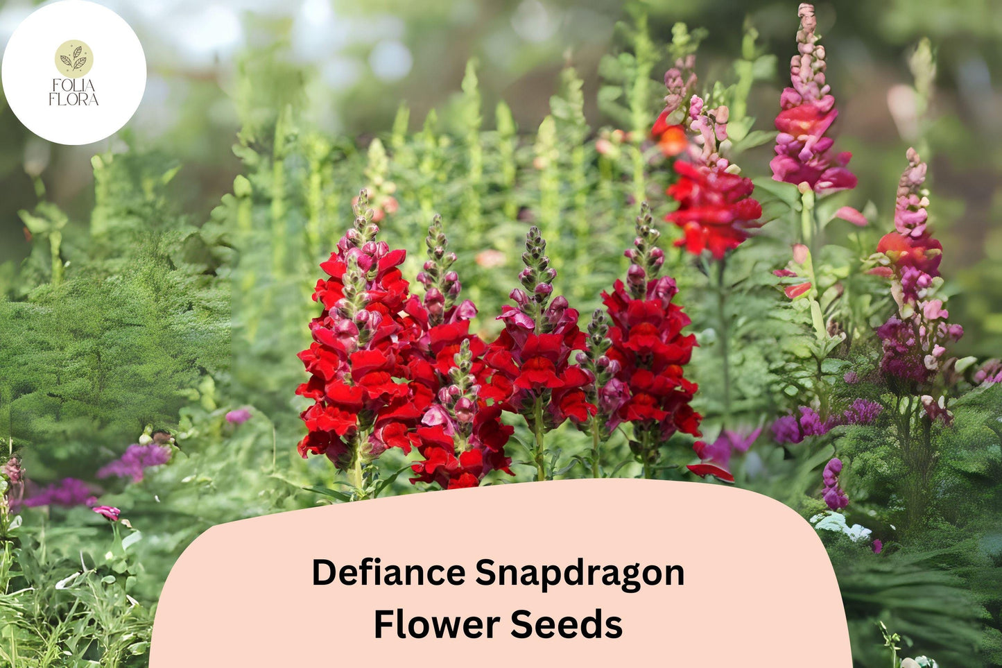 Defiance Snapdragon Seeds (Antirrhinum majus) | 1000+ Seeds | Bold Red Blooms for Garden & Cut Flowers