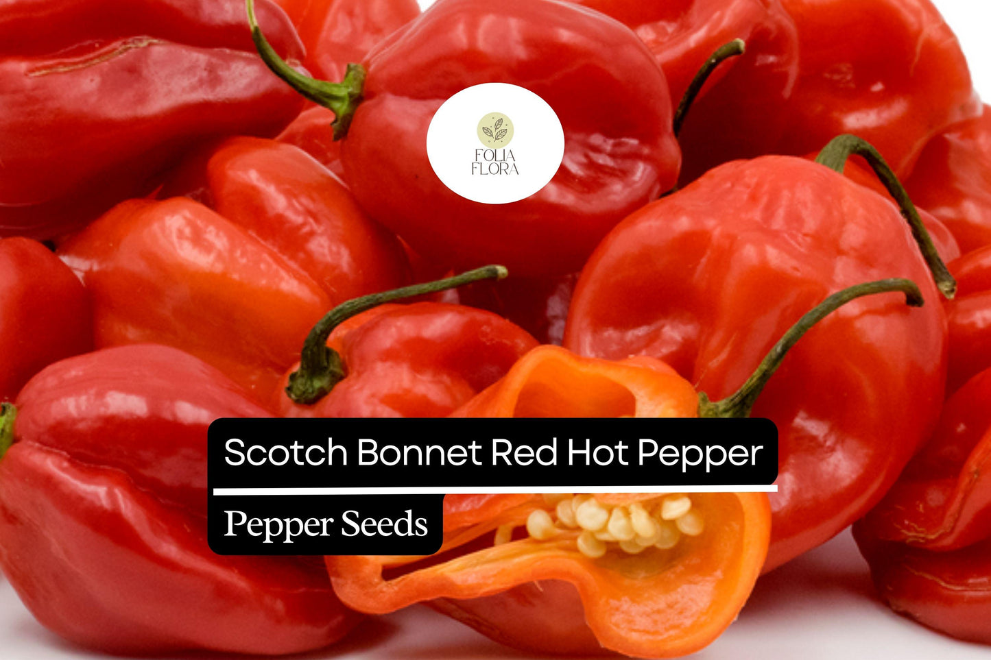 20 Seeds Red Scotch Bonnet Pepper – Capsicum chinense, Spicy Caribbean Chili