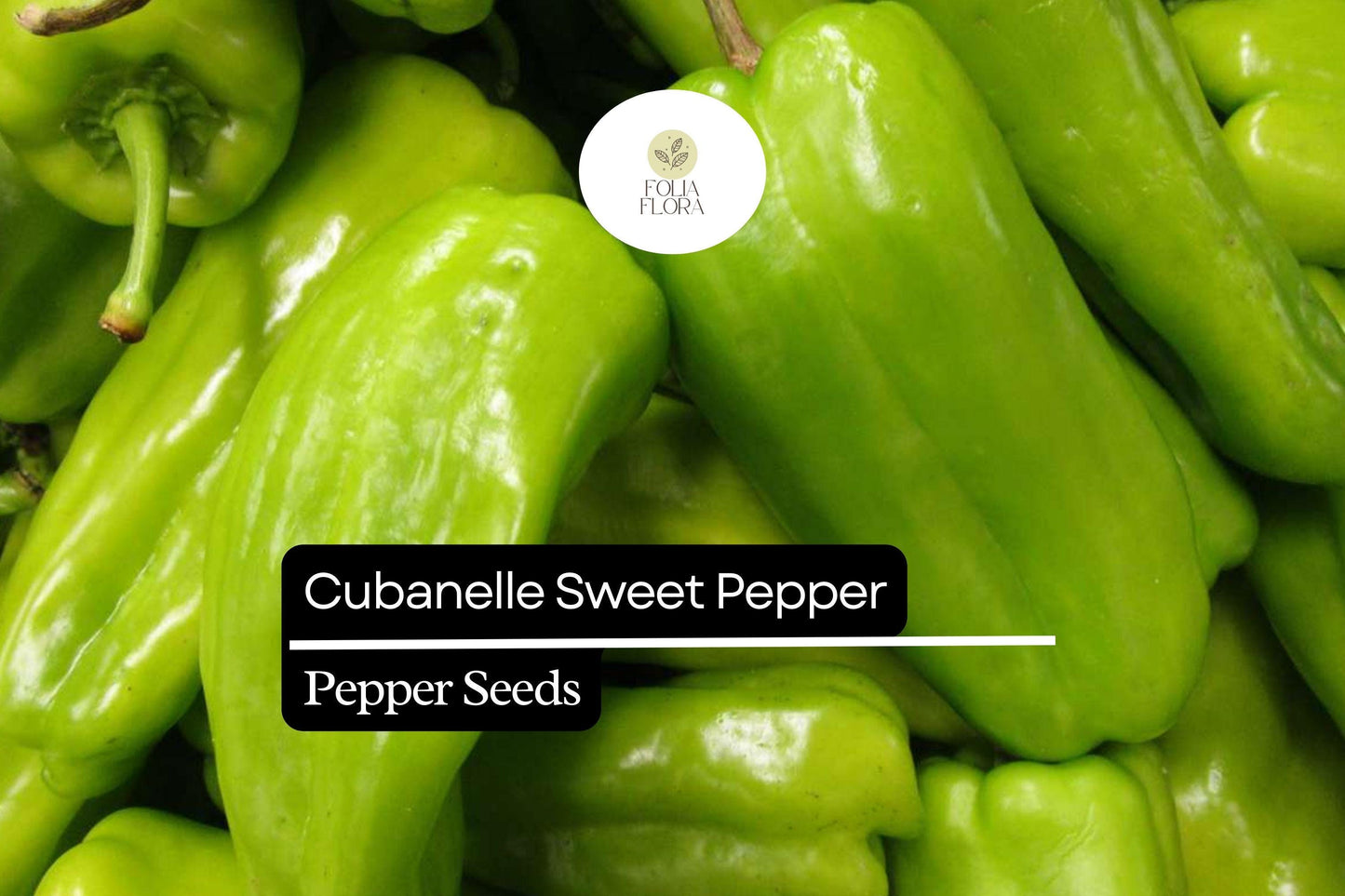 25 Cubanelle Sweet Pepper Seeds – Capsicum annuum – Mild, Crisp & Flavorful, High-Yielding, Great for Frying