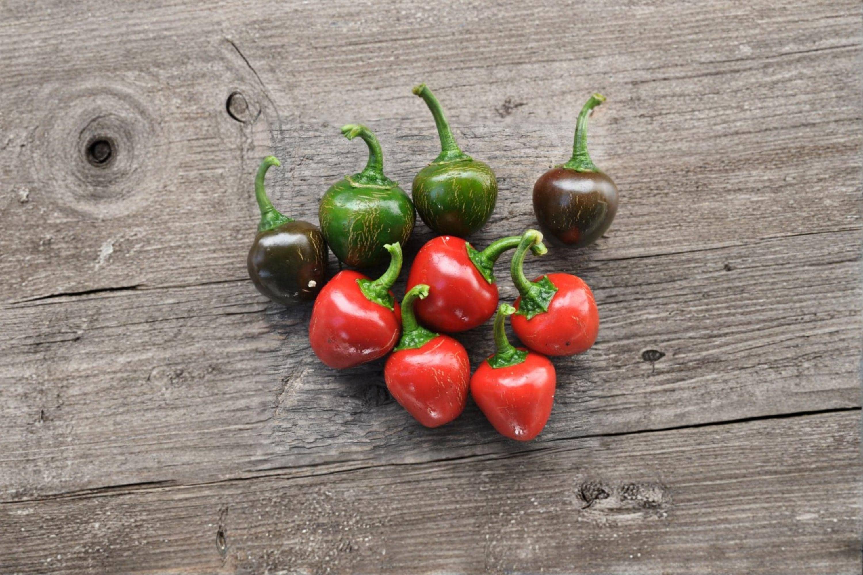 Red Cherry – Sweet Pepper 25 Seeds | Mild Sweet Pepper | Round Cherry Shape | Perfect for Stuffing & Pickling