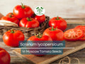 100 mg VR Moscow Tomato Seeds - Solanum lycopersicum | Heirloom Disease-Resistant Tomato for Planting, Gardening & Slicing