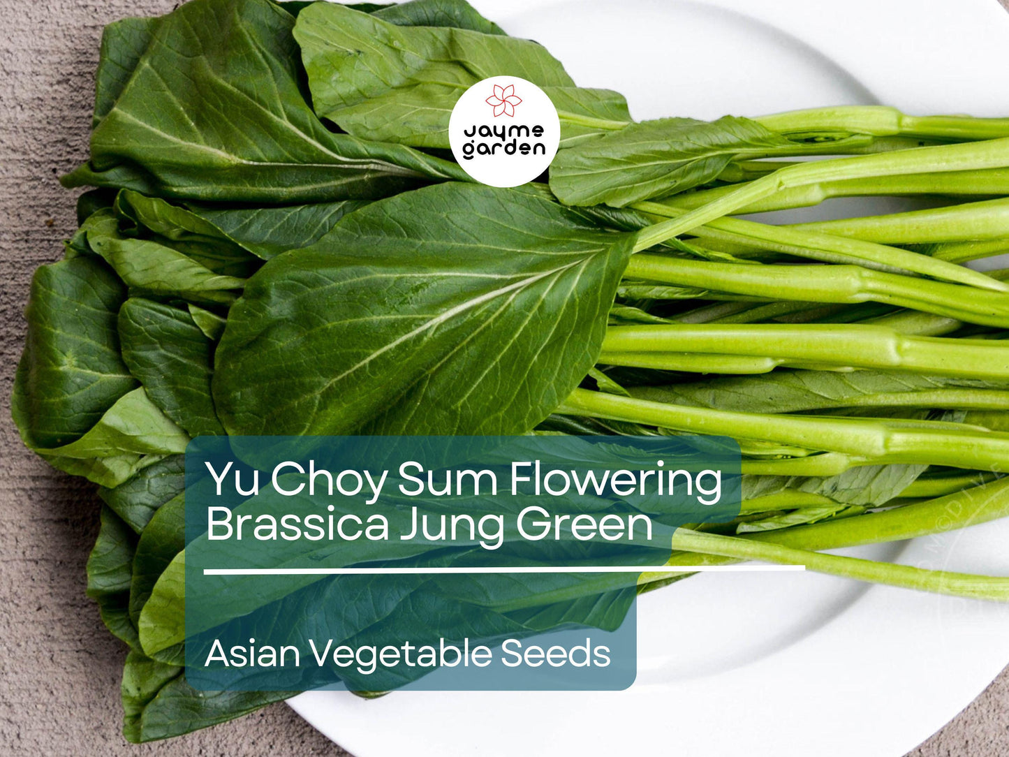 500mg Yu Choy Sum Seeds - Flowering Brassica Jung Green - Heirloom Non-GMO Asian Green for Stir-Fries, Soups, & Gardening