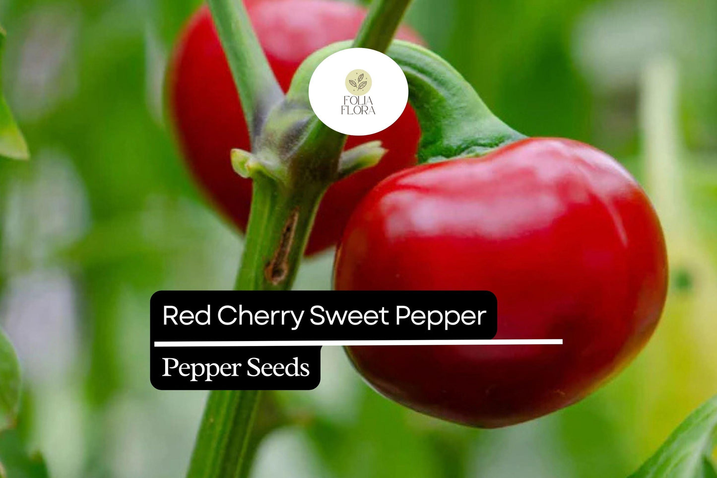 25 Sweet Red Cherry Pepper Seeds – Heirloom, Non-GMO, Mild & Flavorful, High Yield, Easy to Grow