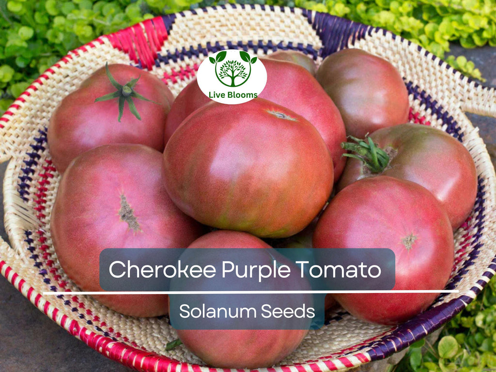 60 Cherokee Purple Tomato Seeds – Heirloom Beefsteak, Solanum lycopersicum, Non-GMO, Indeterminate, Rich Flavor, Garden Favorite
