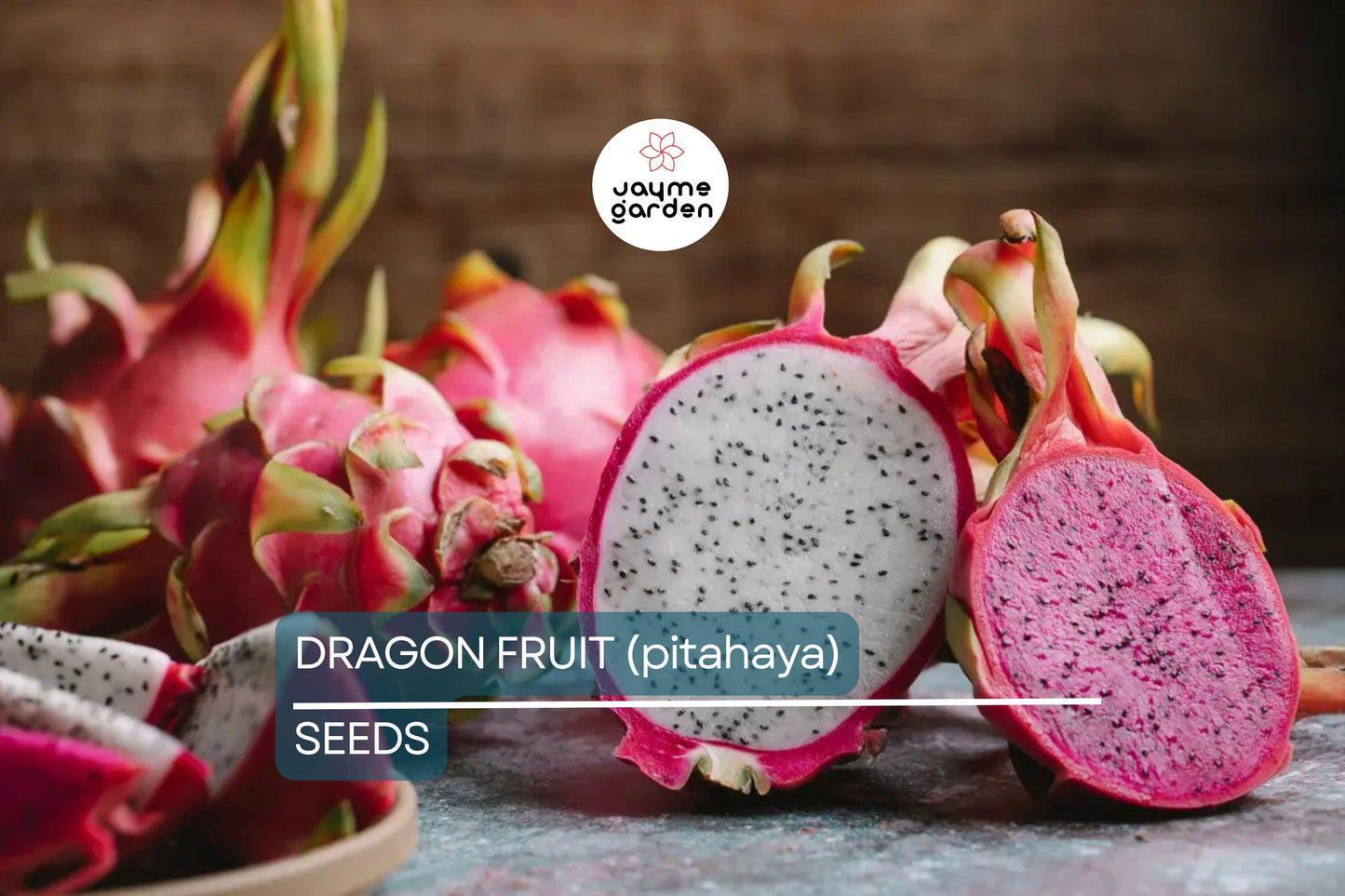25 Seeds White Dragon Fruit Plant | Pitahaya (Hylocereus Undatus) | Edible Cactus Pitaya Plant for Indoor & Outdoor Gardens