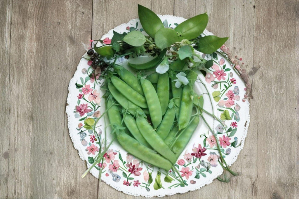 Pea – Snow Dwarf Sugar Grey 40 Seeds | Heirloom Snow Pea | Edible Pods | Compact Plants with Purple Flowers