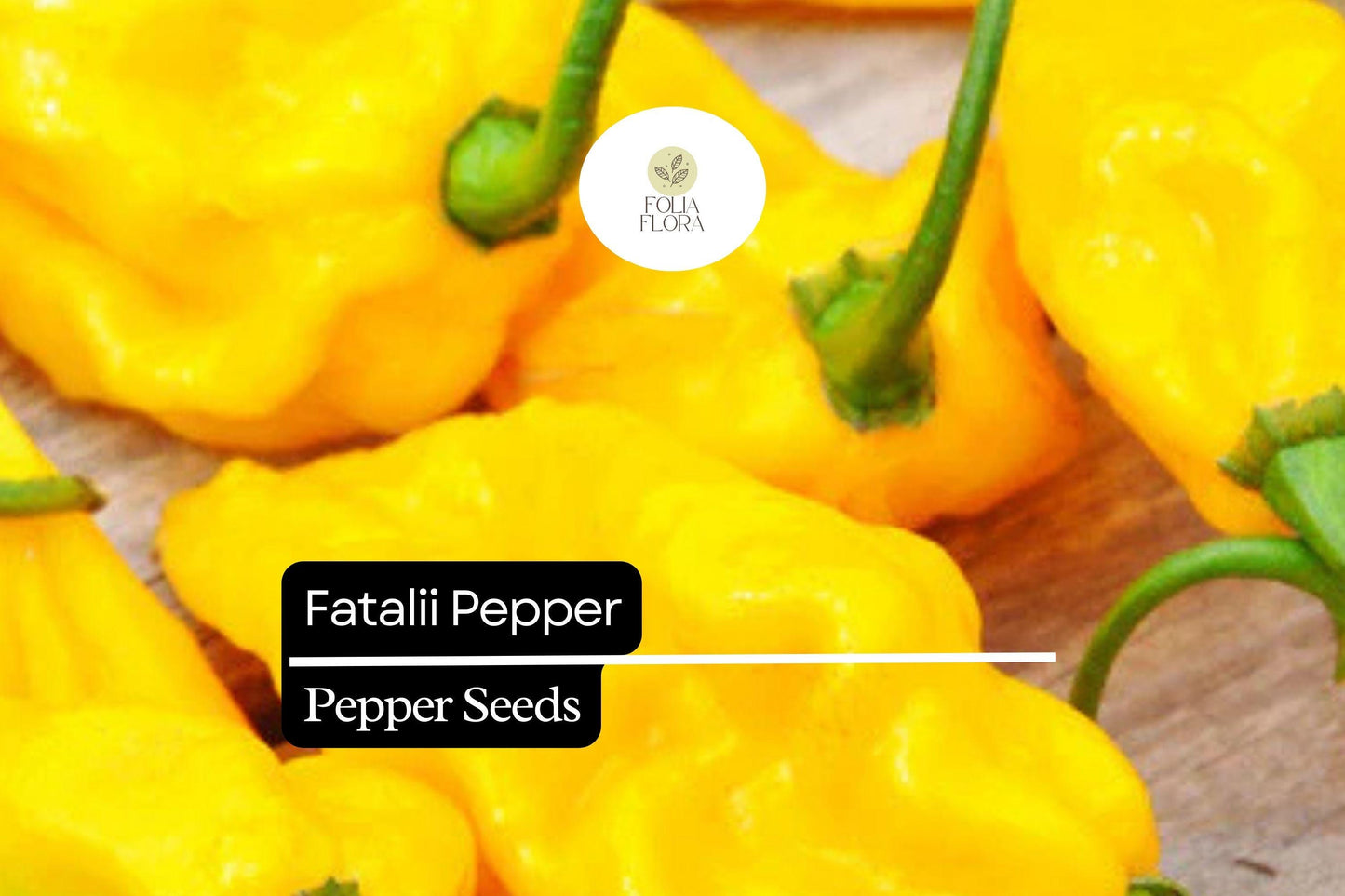 5 Seeds Fatalii Pepper, Capsicum chinense, Rare Fiery Yellow Chili for Exotic Hot Sauces