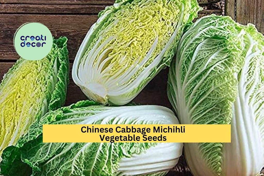 3pcs x 500mg Michihli Chinese Cabbage Seeds – Upright Heading Brassica for Raised Beds, Garden Rows, or Containers Seeds for Planting