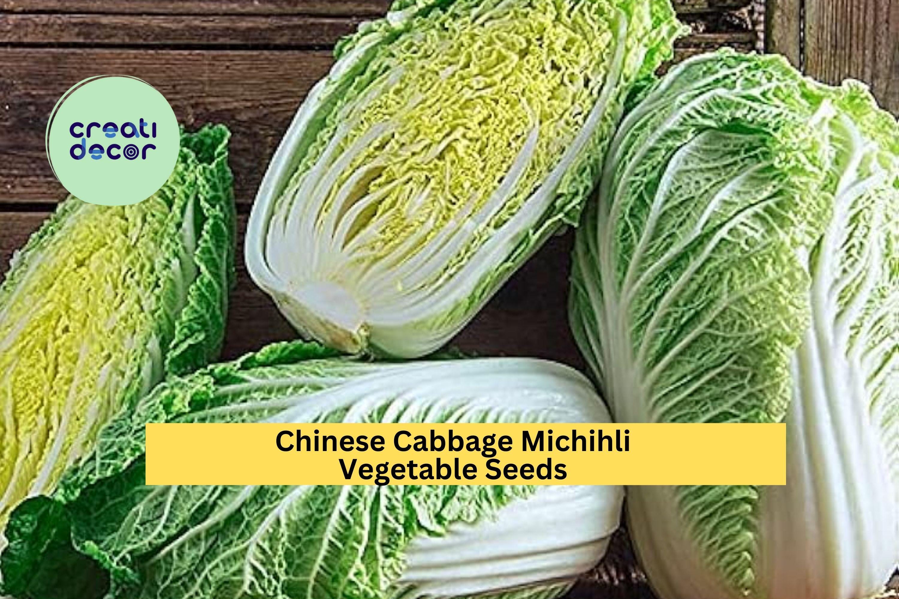 3pcs x 500mg Michihli Chinese Cabbage Seeds – Upright Heading Brassica for Raised Beds, Garden Rows, or Containers Seeds for Planting
