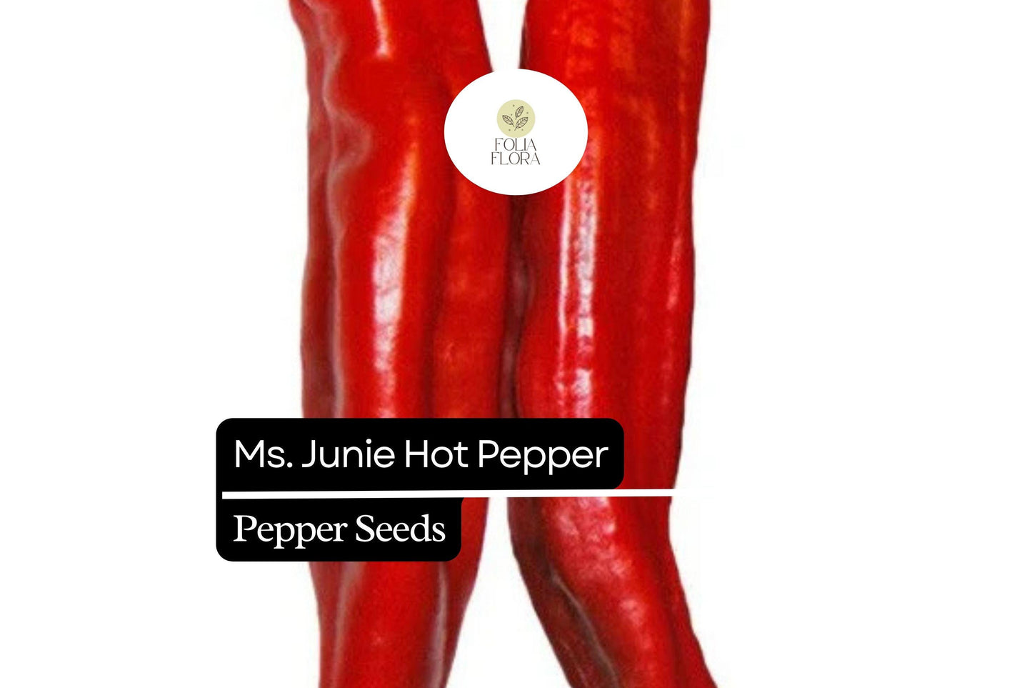 25 Hatch Ms. Junie Pepper Seeds – Capsicum annuum – Mild & Flavorful, High-Yielding, Perfect for Roasting