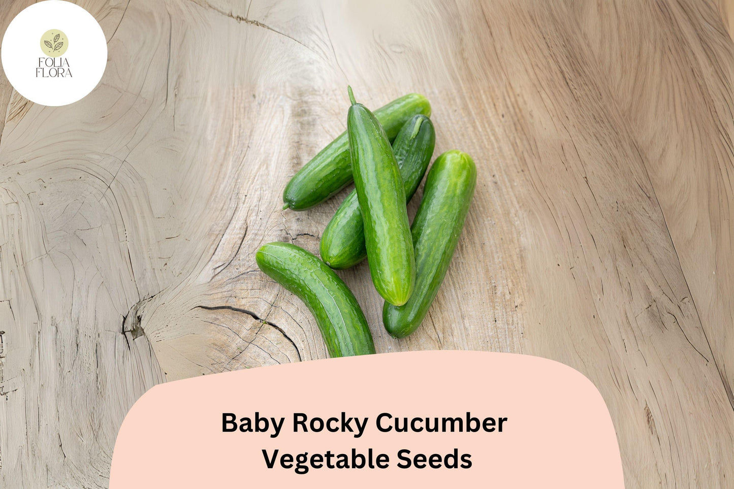 25+ Baby Rocky Cucumber Seeds for Planting | Mini Crisp Cucumbers | Fast Growing Garden Veggie | Rare Compact Variety